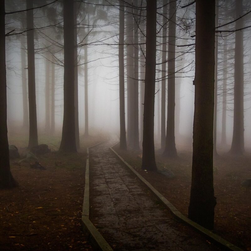 desprograma el miedo heredado 3 practicas psicogenealogicas 1