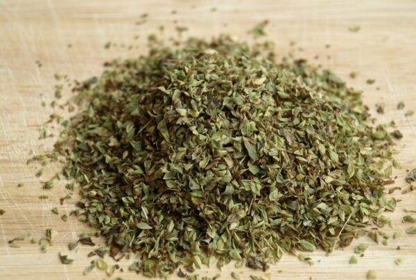 oregano el te de oregano puede ayudar a combatir infecciones estomacales como el norovirus 1