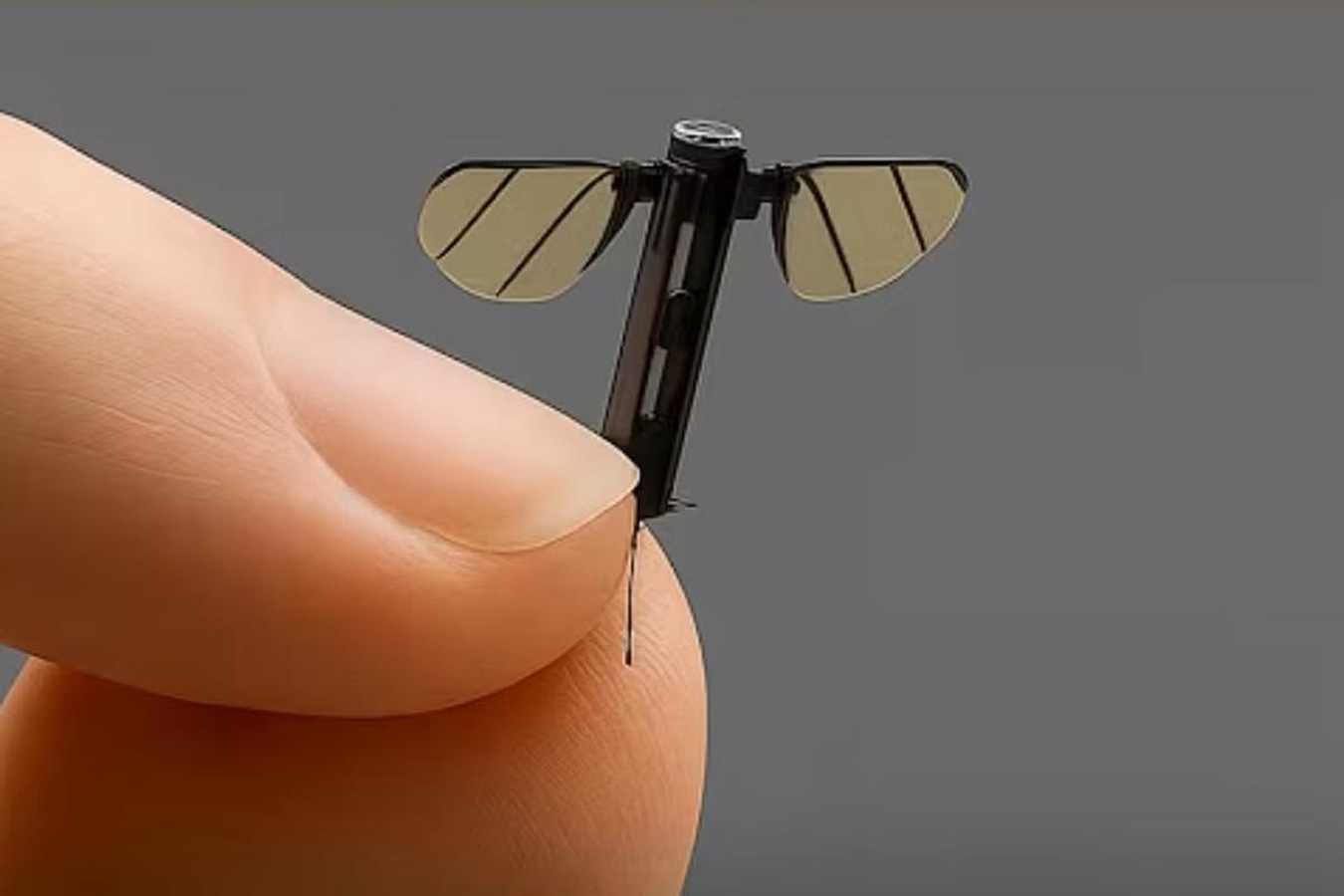 China creo un dron del tamano de un mosquito