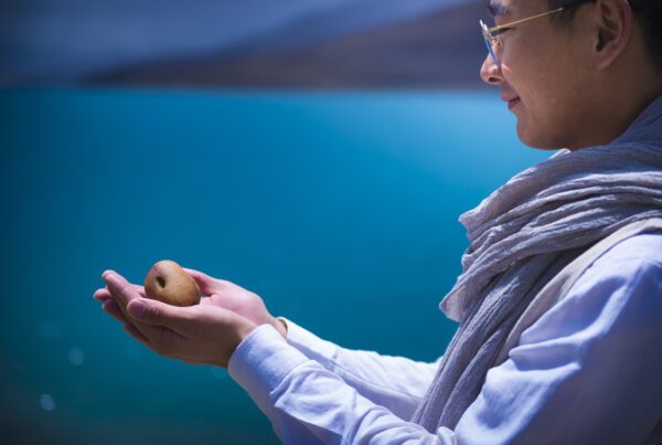 vipassana la tecnica milenaria que limpia tu mente y transforma tu vida sin decir una palabra 1