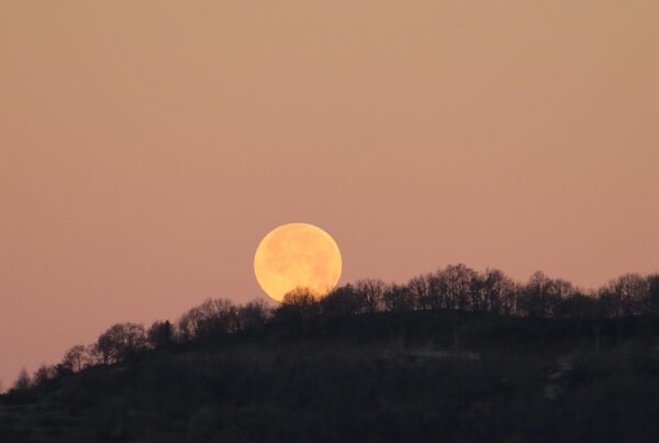 que es el signo lunar y que representa en tu carta natal 1