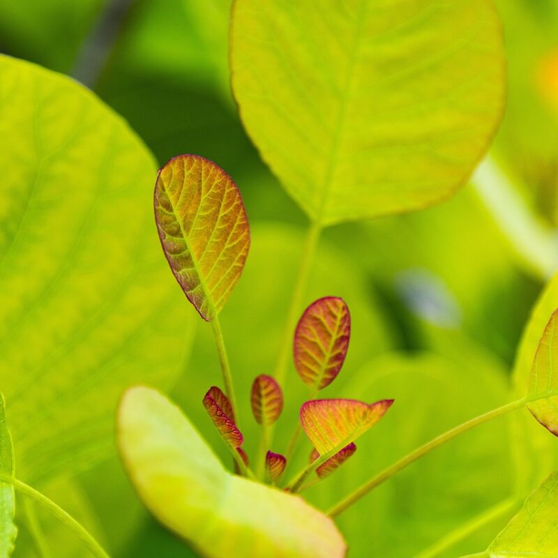 rompiendo barreras liberandote de frenos y limitaciones 2026 1