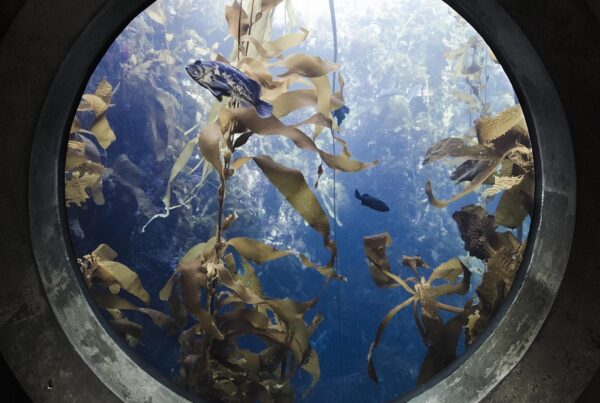 si el ano 2026 trae muchos cambios son positivos o negativos a nivel mundial 1